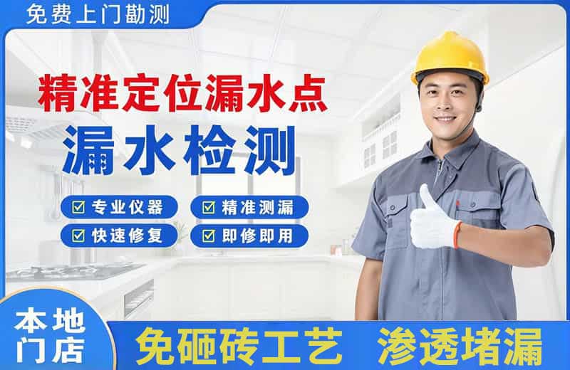 东丽精准测漏点